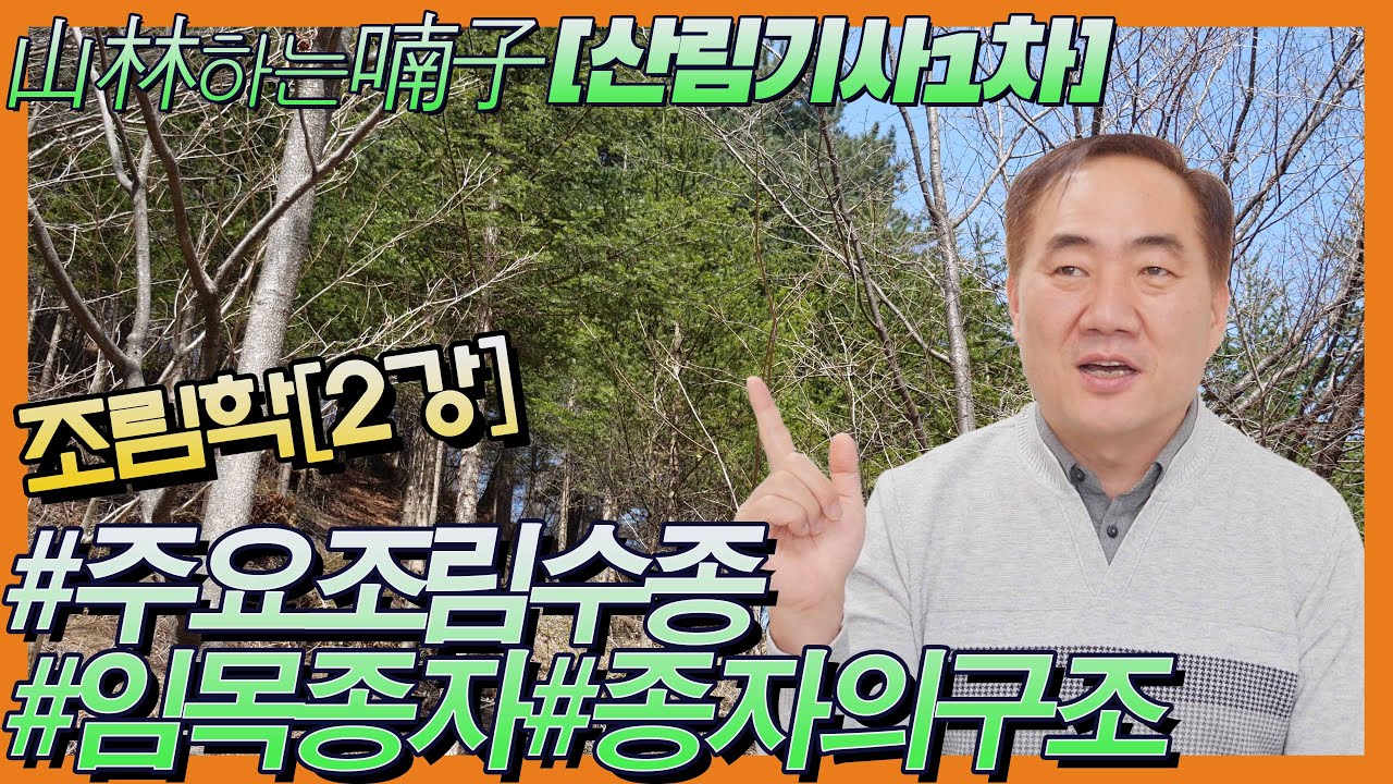 [산림기사1차] #조림학 제2강#교재 훑어보기#주요조림수종#임목종자#종자의구조 ★산림하는 남자 김정호 입니다.