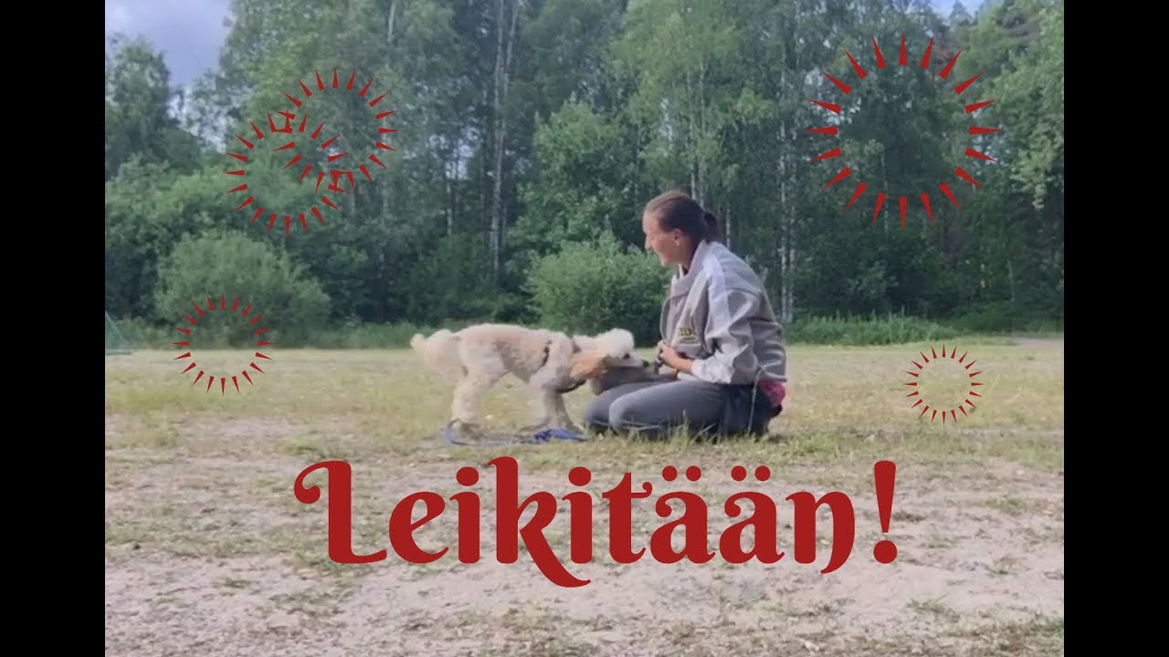 Ruu 8kk leikkiminen, lelupalkka