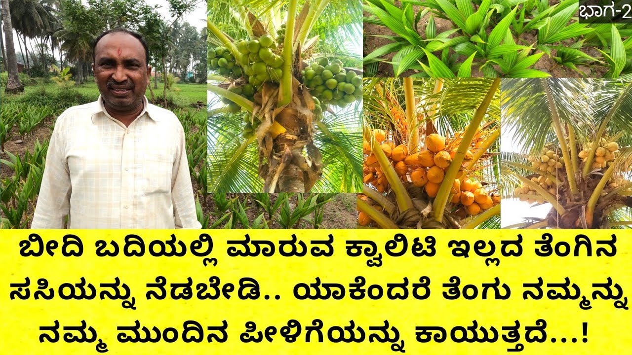 ತೆಂಗು ಯಾವ ತಳಿ ಉತ್ತಮ... ಹೈಬ್ರೀಡ್ ಅಥವಾ ನಾಟಿ...30 ವರ್ಷಕ್ಕೆ ಬಂದುಹೋಗುತ್ತೆ ಇದು 100 ವರ್ಷ ಇರುತ್ತೆ...!