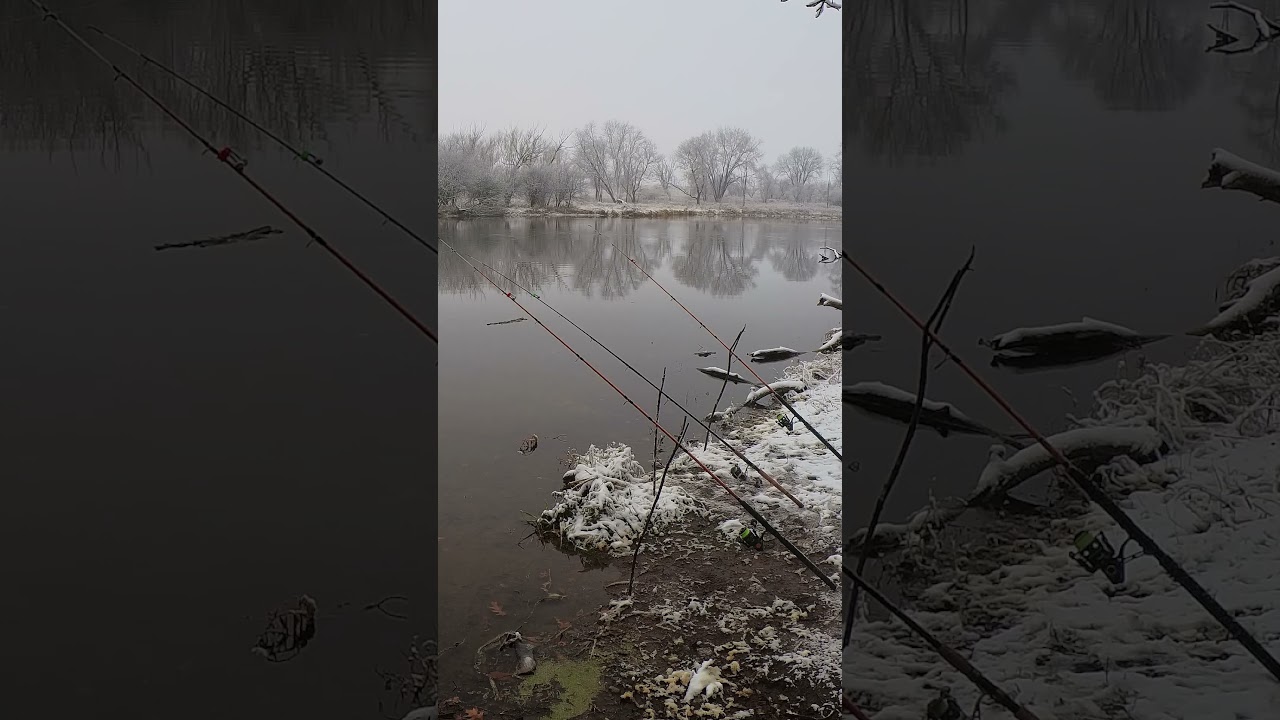 HERMOSO PIQUE PICO UNO GRANDE