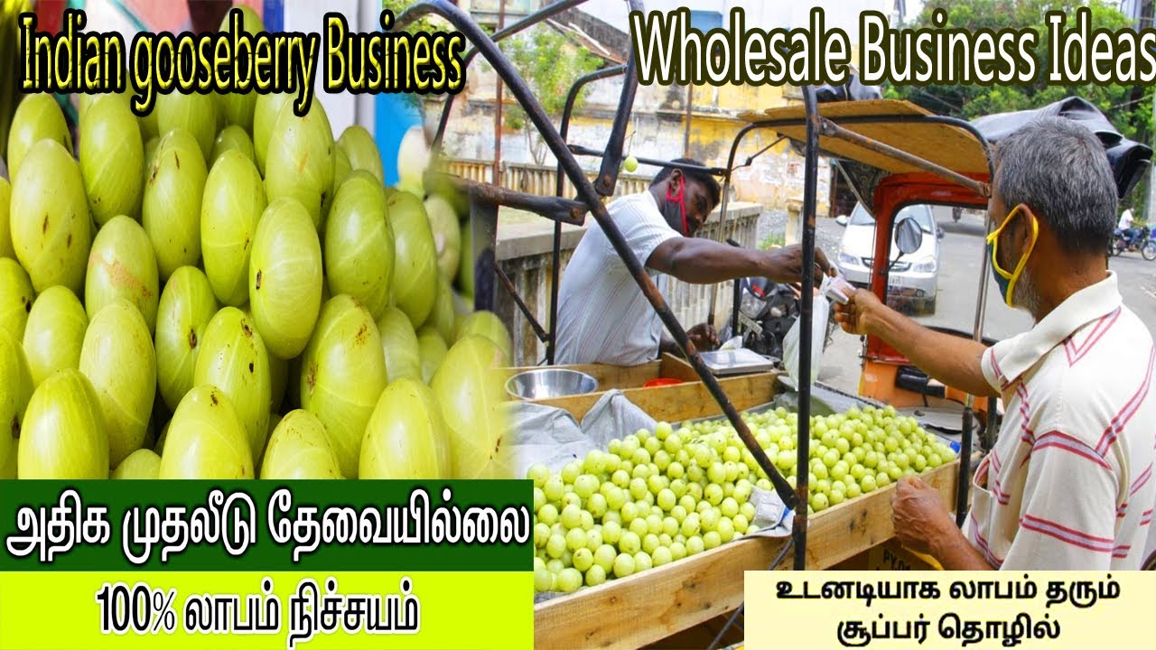 லாபம் தரும் நெல்லிக்காய் வியாபாரம் | Indian gooseberry Business Idesa | New Business Plans