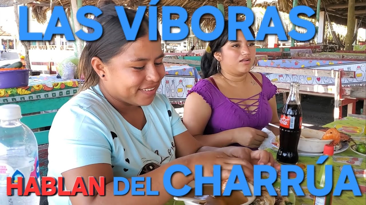 LAS VÍBORAS NO QUIEREN QUE LAS CRITIQUEN