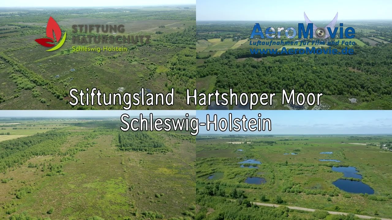 Stiftungsland Hartshoper Moor Schleswig-Holstein