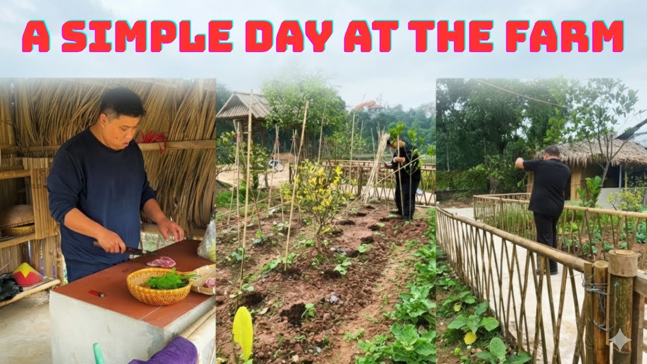 Life In The Countryside: Organic Gardening, Raising Chickens & Farm To Table Cooking