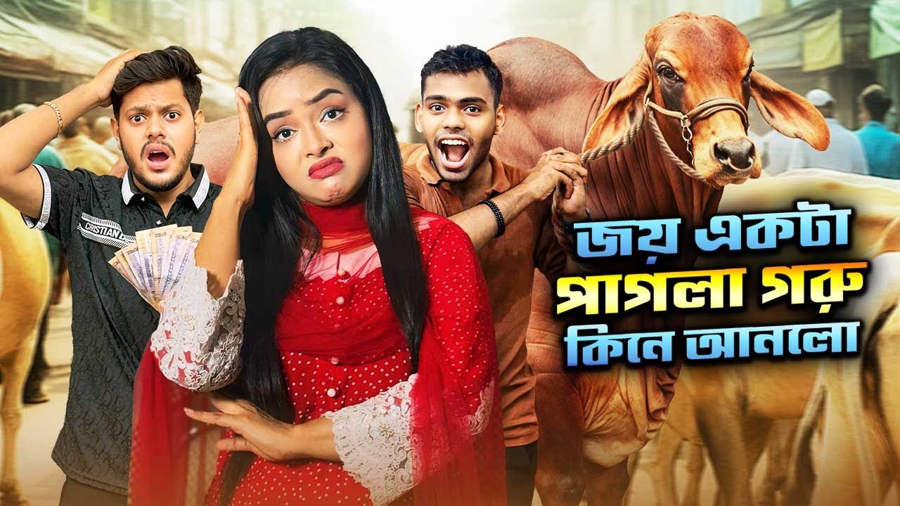 জয় একটা পাগলা গরু কিনে আনলো | QURBANI VLOG | Borna Hossain | Rakib Hossain