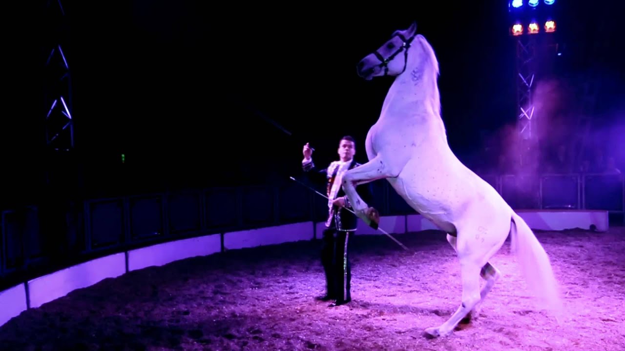 Circul Orlando 2016-Stelele Circului