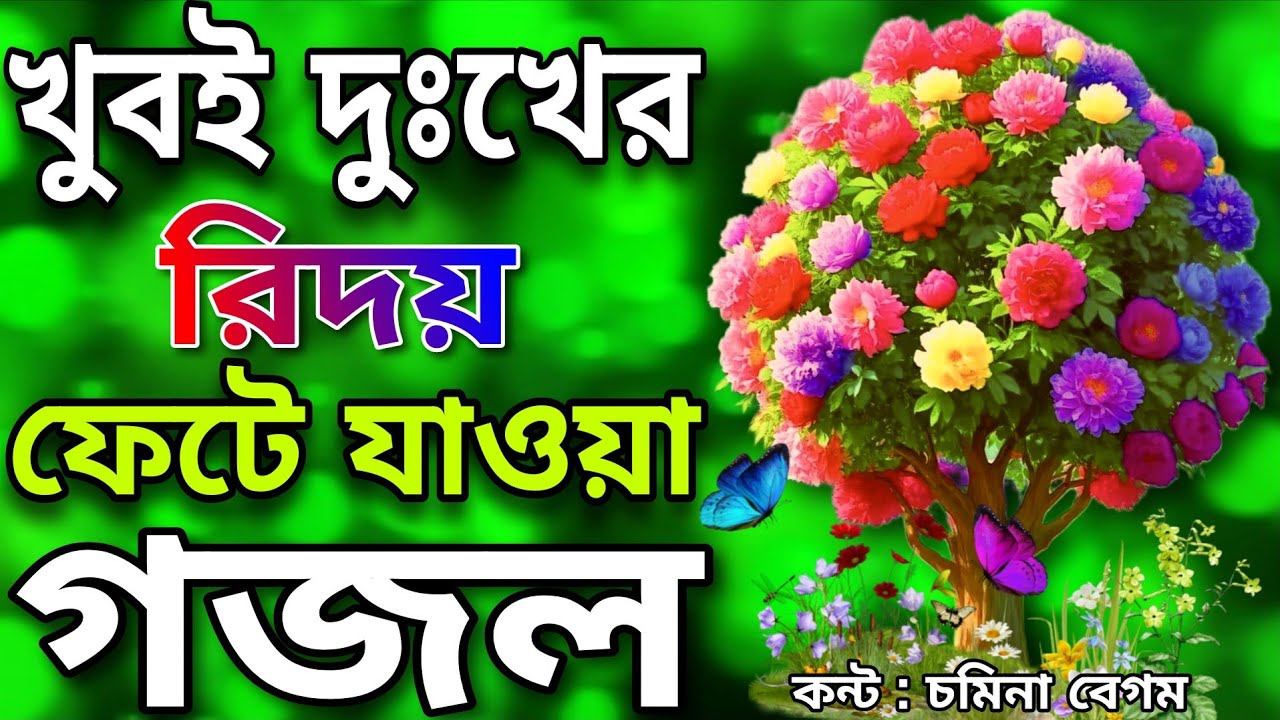 খুবই দুঃখের রিদয় ফেটে যাওয়ার মতো সেরা মন প্রাণ জুড়ানো ৩টি গজল // Somina Begum // hart gojol
