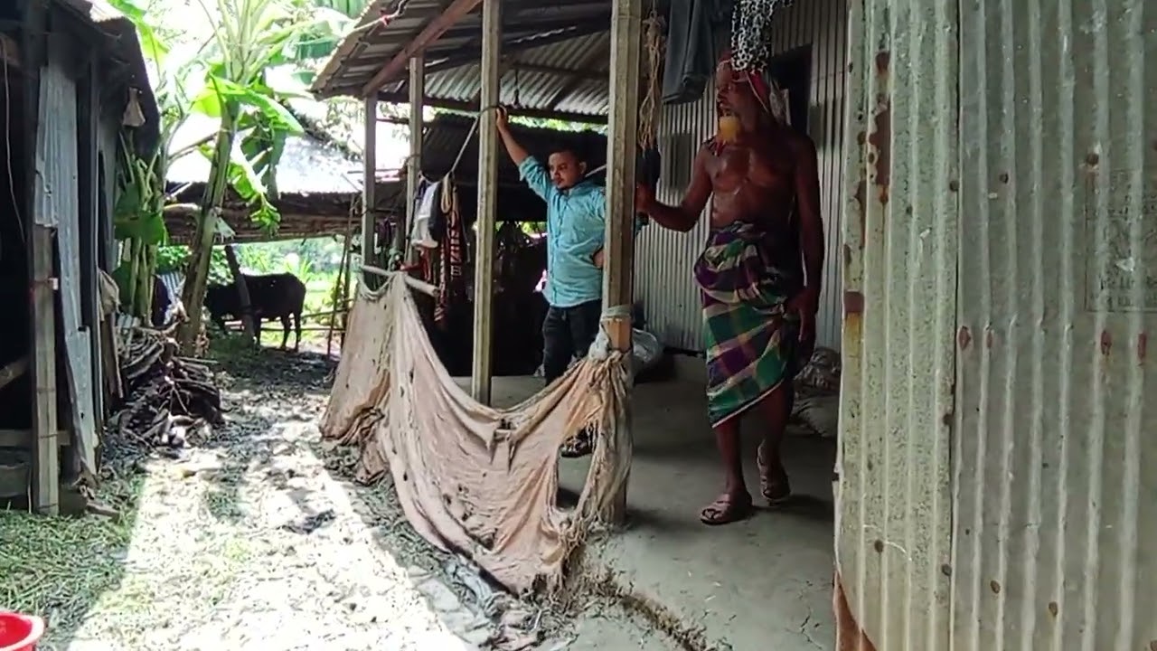 সিংগাইরে সাপের কামড়ে এক নারীর মৃ/ ত্যু।
