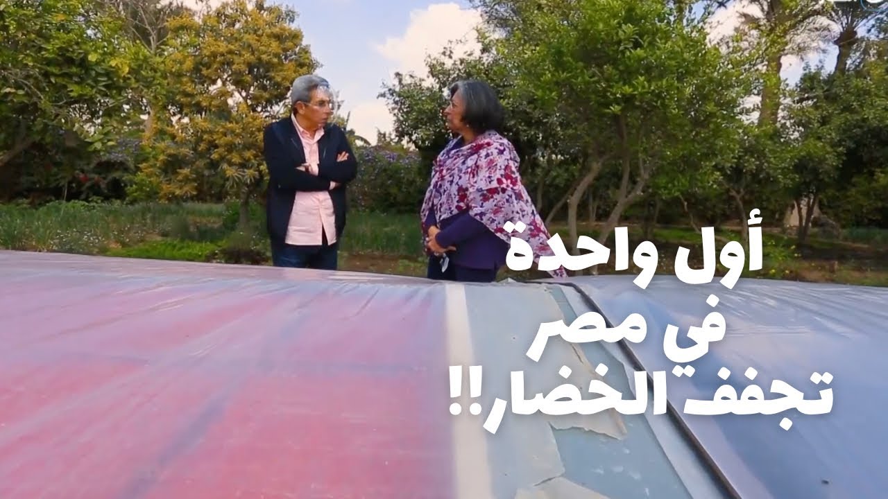 باب الخلق| منار معبد طلعت معاش وبعد ٢٠ سنة عملت مشروع لتجفيف الخضار والفاكهة مفيش منه في مصر!!