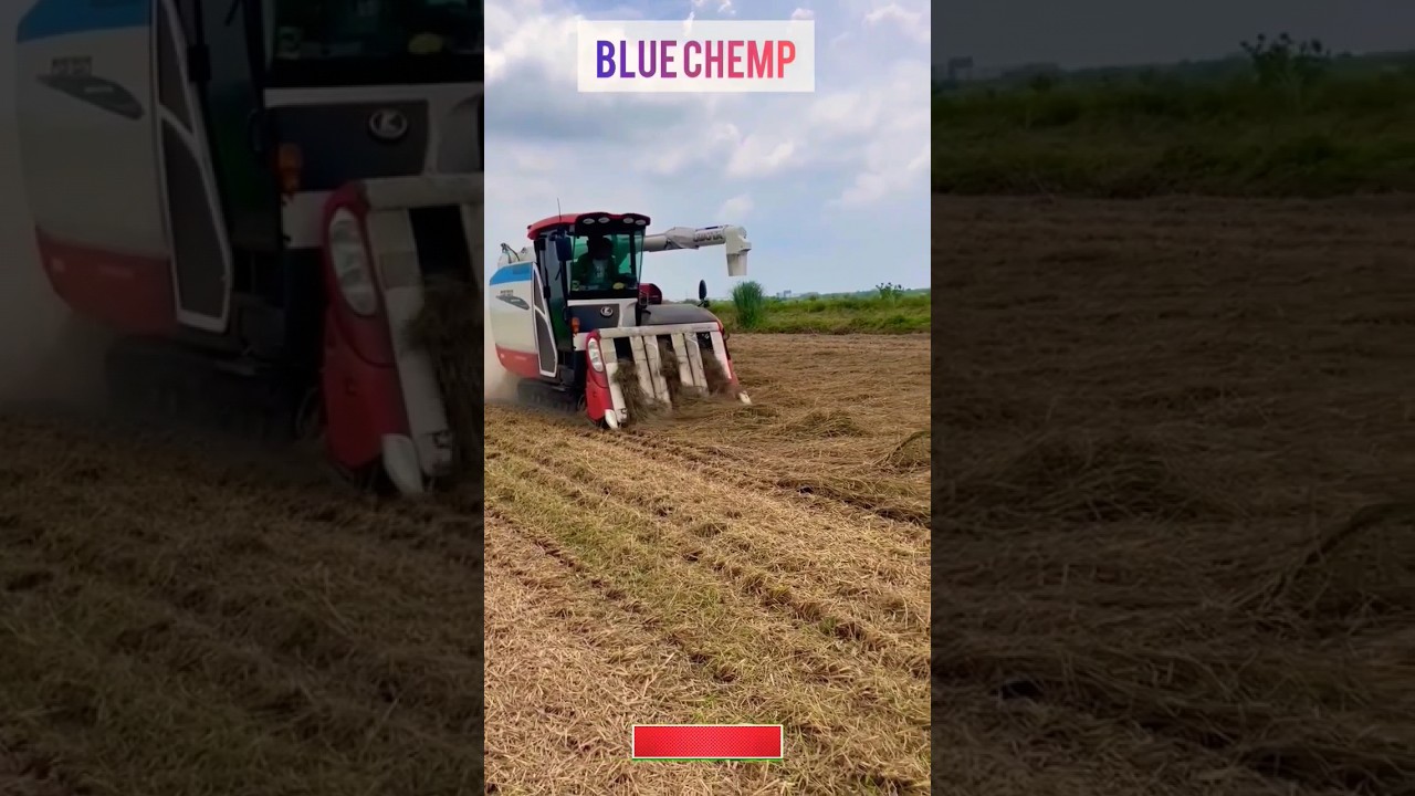 Kubota DR120 combine harvester #kubota #harvester