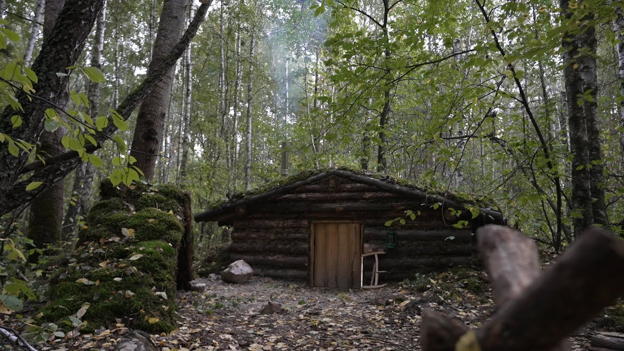 Землянка к зиме готова, мокрый темный лес, никаких разговоров