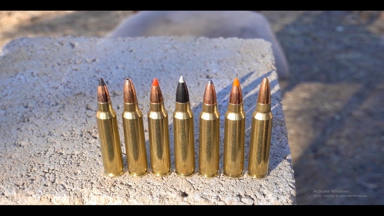 Какая пуля калибра .223 Varmint лучшая?