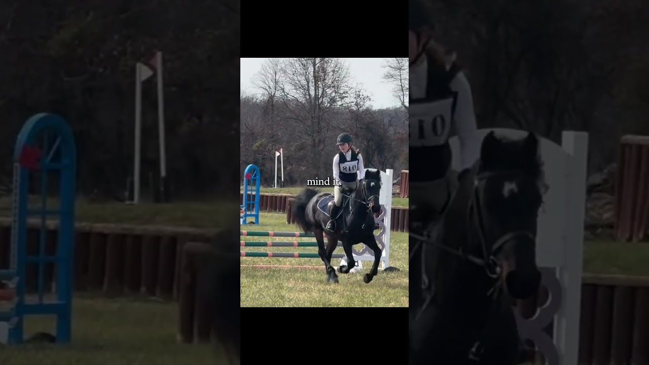 :) #horse #equestrianevent #horseenthusiast #equestrianshow
