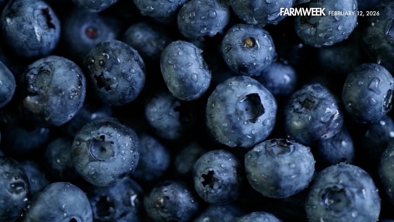 Farmweek | The Blueberry Blues | February 12, 2026