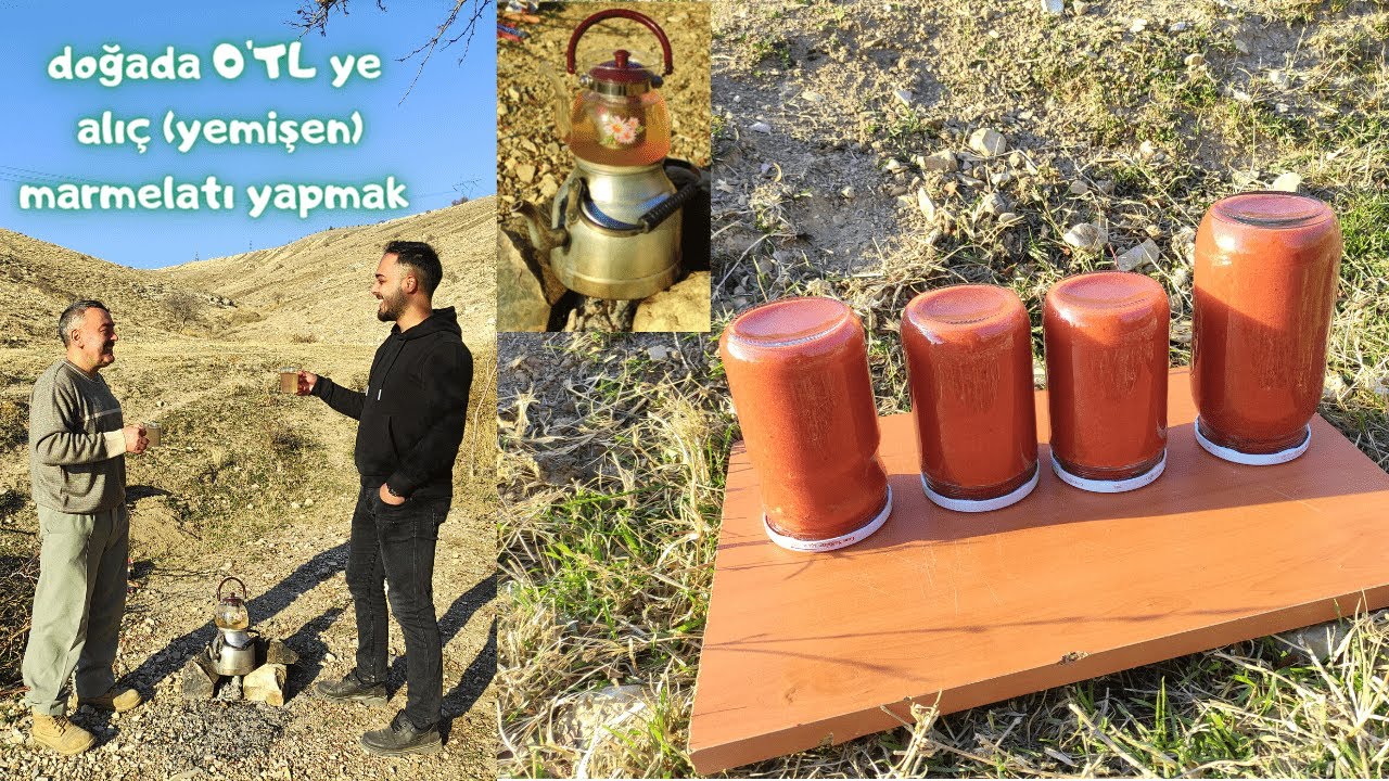 BABAMLA DOĞADA 0'TL YE ALIÇ (YEMİŞEN) REÇELİ YAPTIK (ŞEKERSİZ MARMELAT) ÇOK FAYDALI !