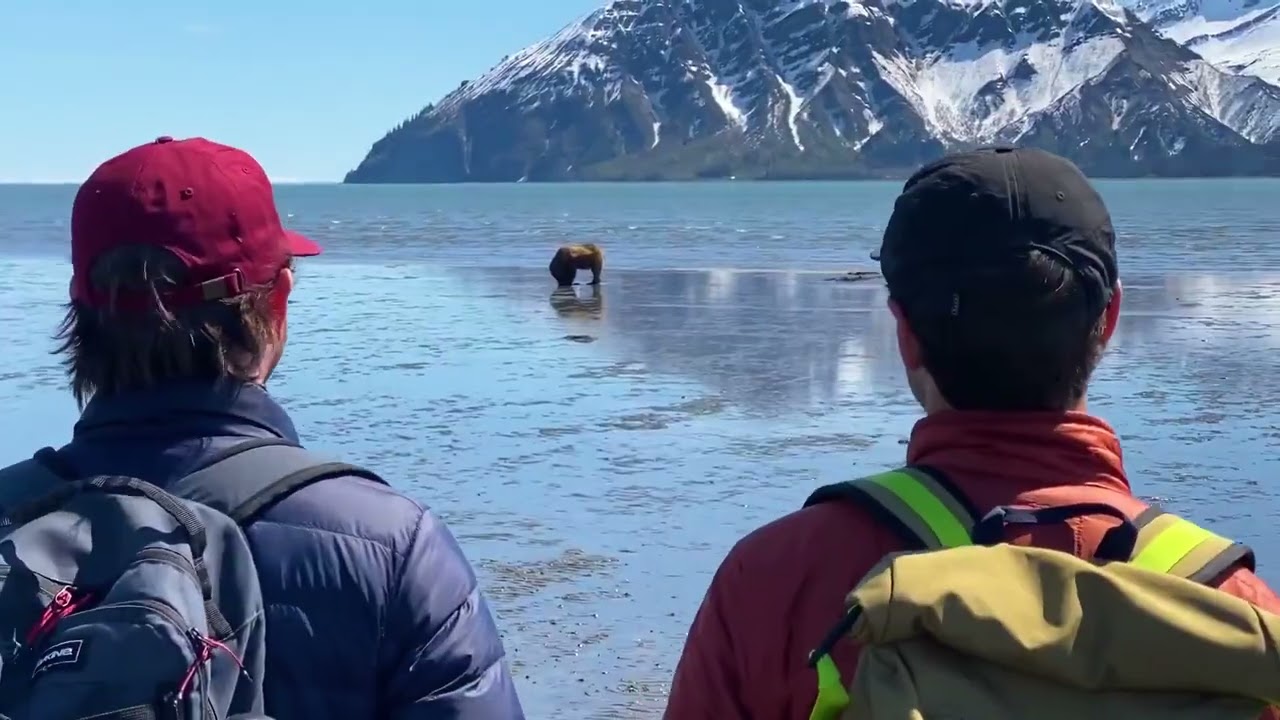 Alaska Bear Adventures | Bear Viewing in Alaska
