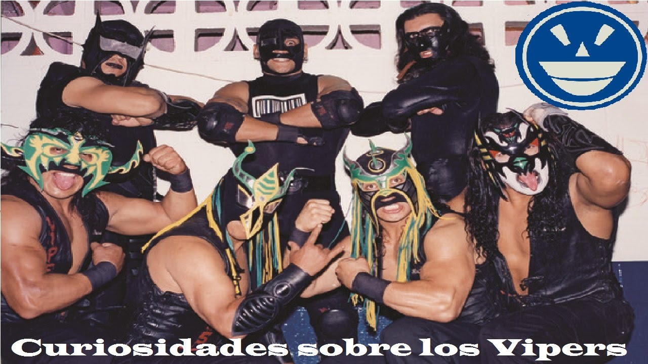 Curiosidades sobre los Vipers