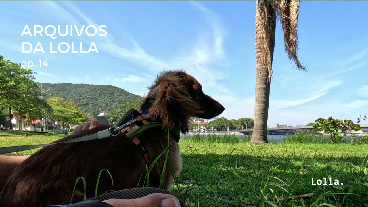 arquivos da lolla | ep. 14 ✸ cerâmica, livros e passeios