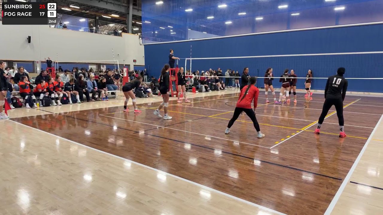 QTFINALS - Sunbirds vs Fog Rage