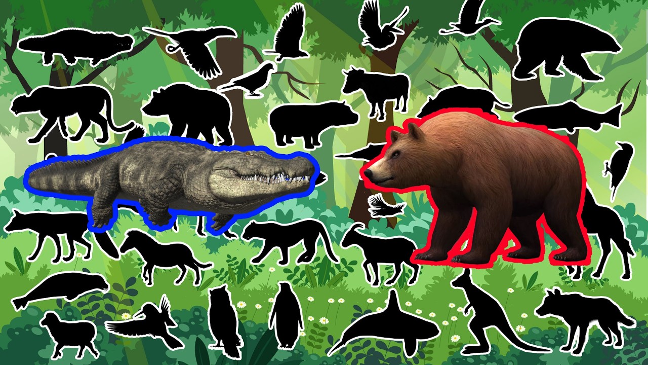 PARECE UM BICHO, MAS É OUTRO! 🐯✨ Adivinhe as 36 Sombras de Animais – Você Consegue? 😱🐾
