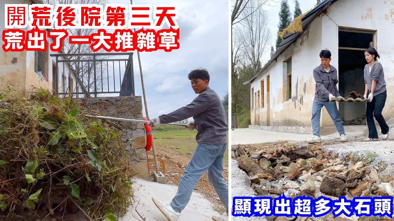後院開荒出了一大推雜草，也顯現出超多的大石頭｜改造廢棄房屋VLOG