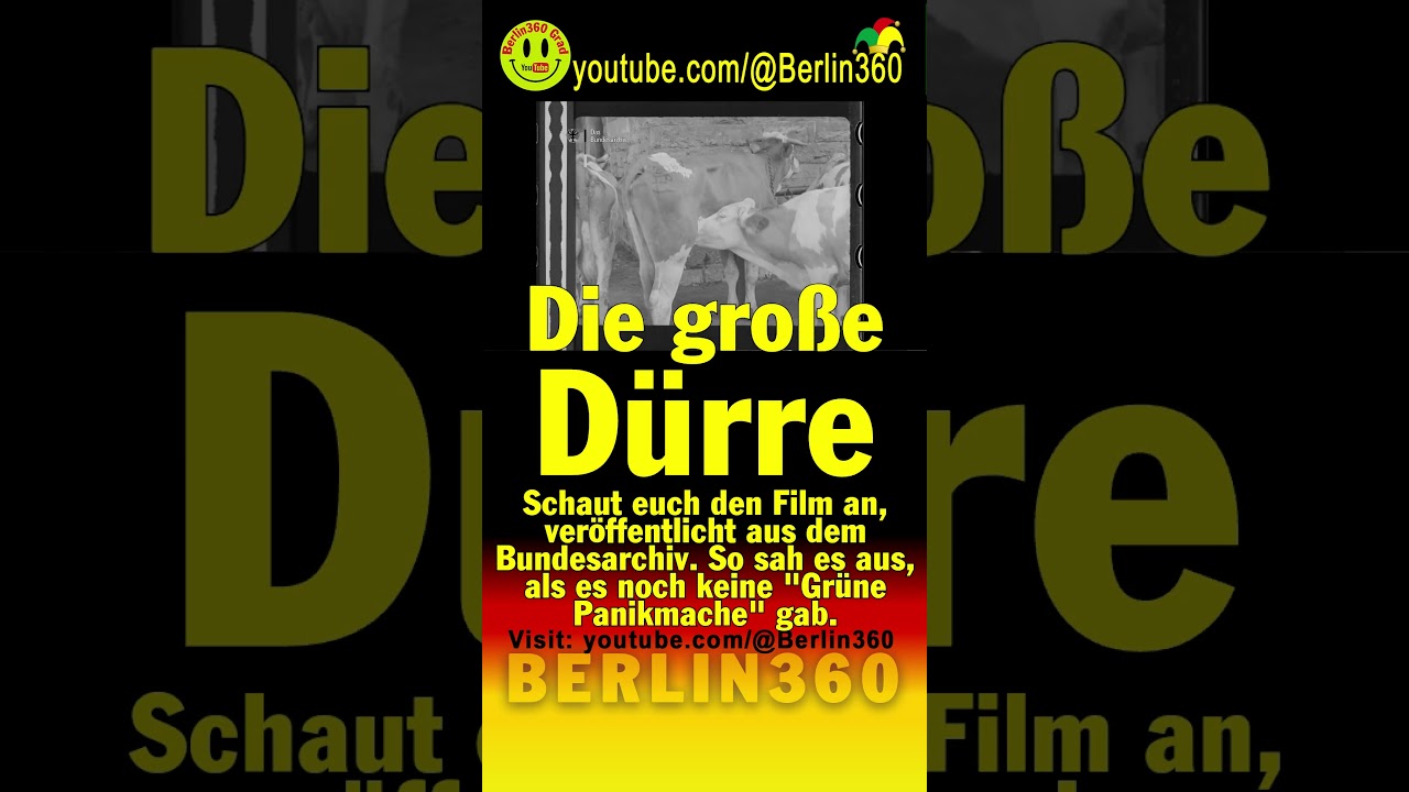 #Hitze #D&uuml;rre #Sommer #Klima #Wetter #Trockenkeit #fridaysforfuture #climatechange #klimawandel