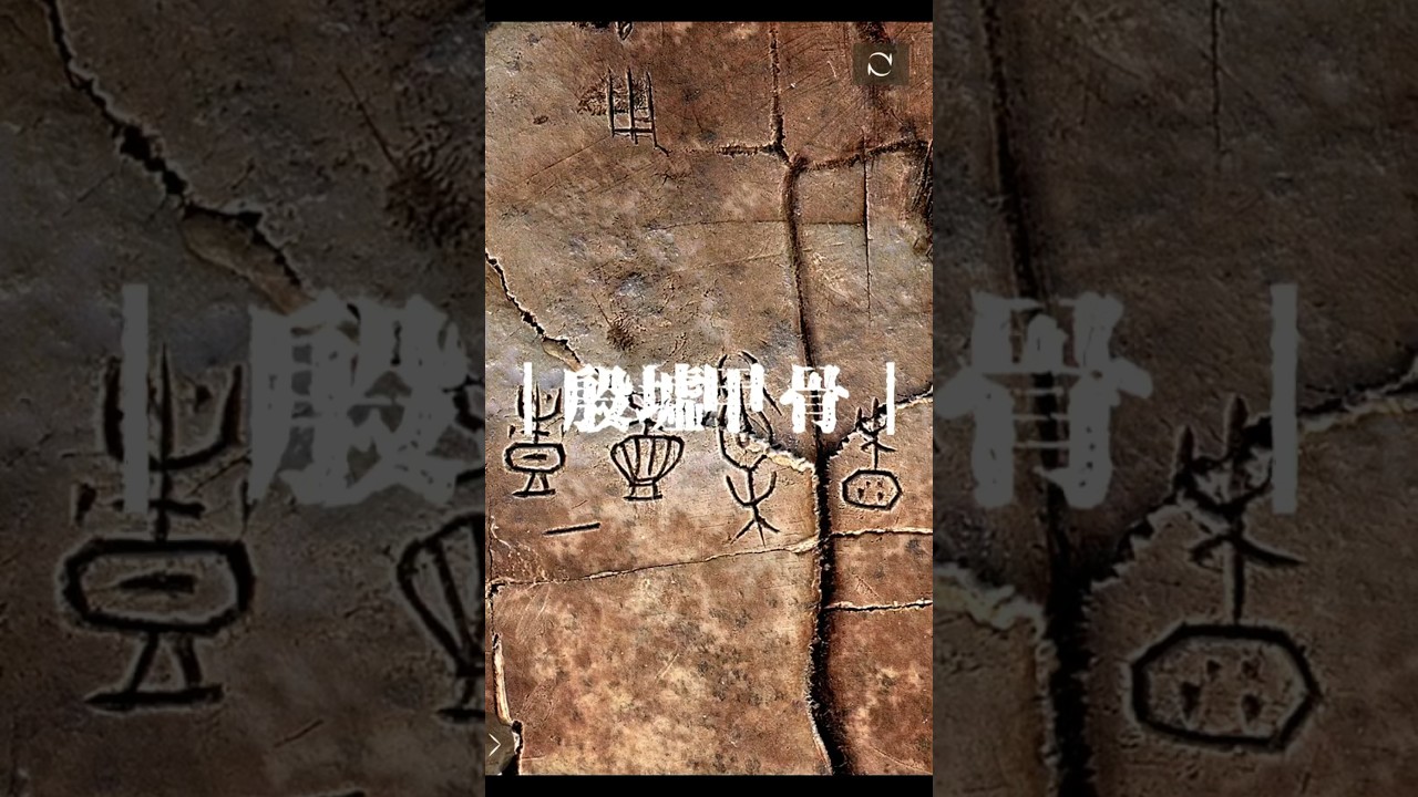 给你看看真的甲骨文长什么样#书法#甲骨文#殷墟#天邑商#安阳殷墟#篆书#大篆#书法#甲骨文书法#商朝文字#国潮#妇好墓