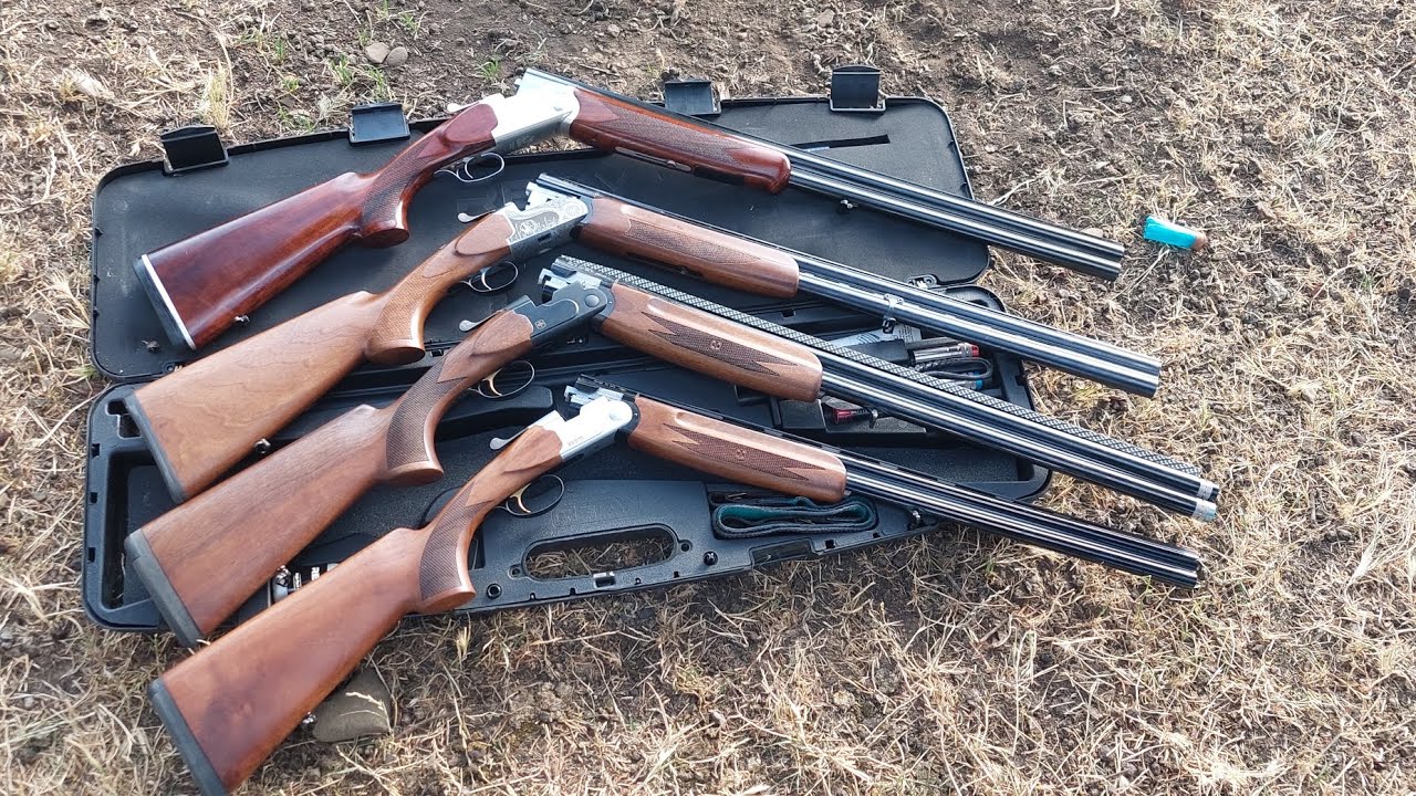 ფიასჩესა  ვიჟლა 12 კალიბრის განხილვა