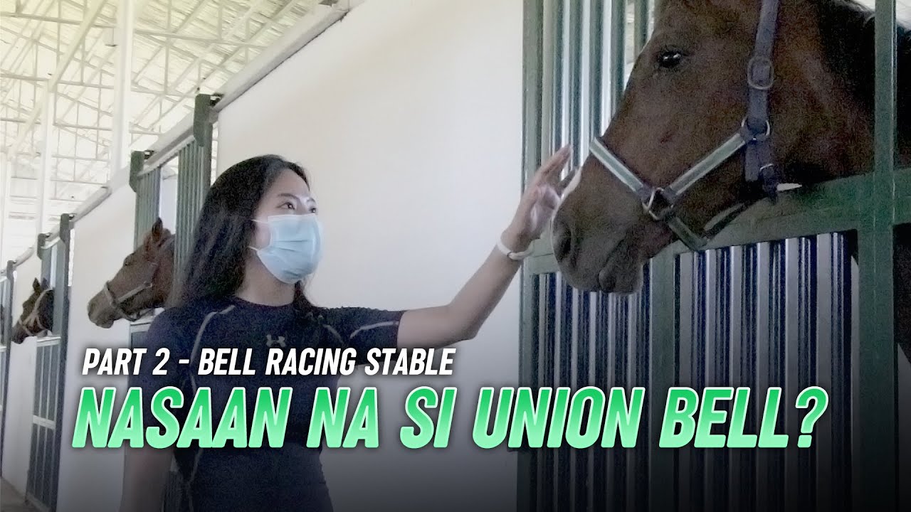 MGA NAKABAKASYON SA BELL RACING STABLE | #LuckyLeaVlog No.45