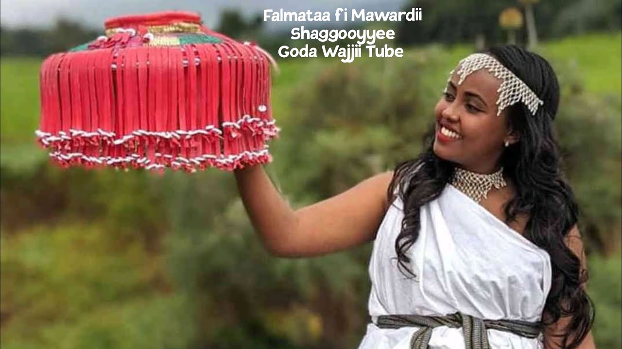 Falmataa fi Mawardii - Shaggooyyee Lyrics (Oromo Music 2023)