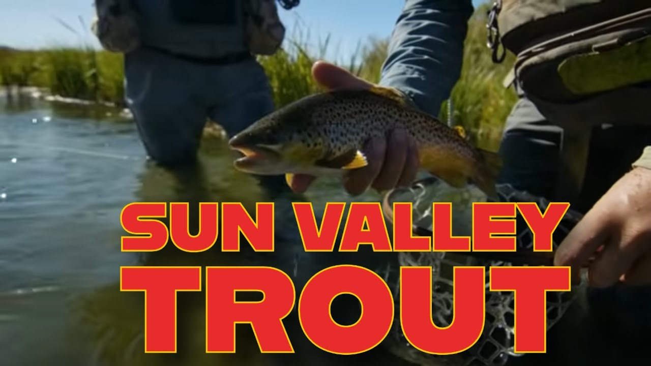 Sun Valley Idaho - Trout Heaven!