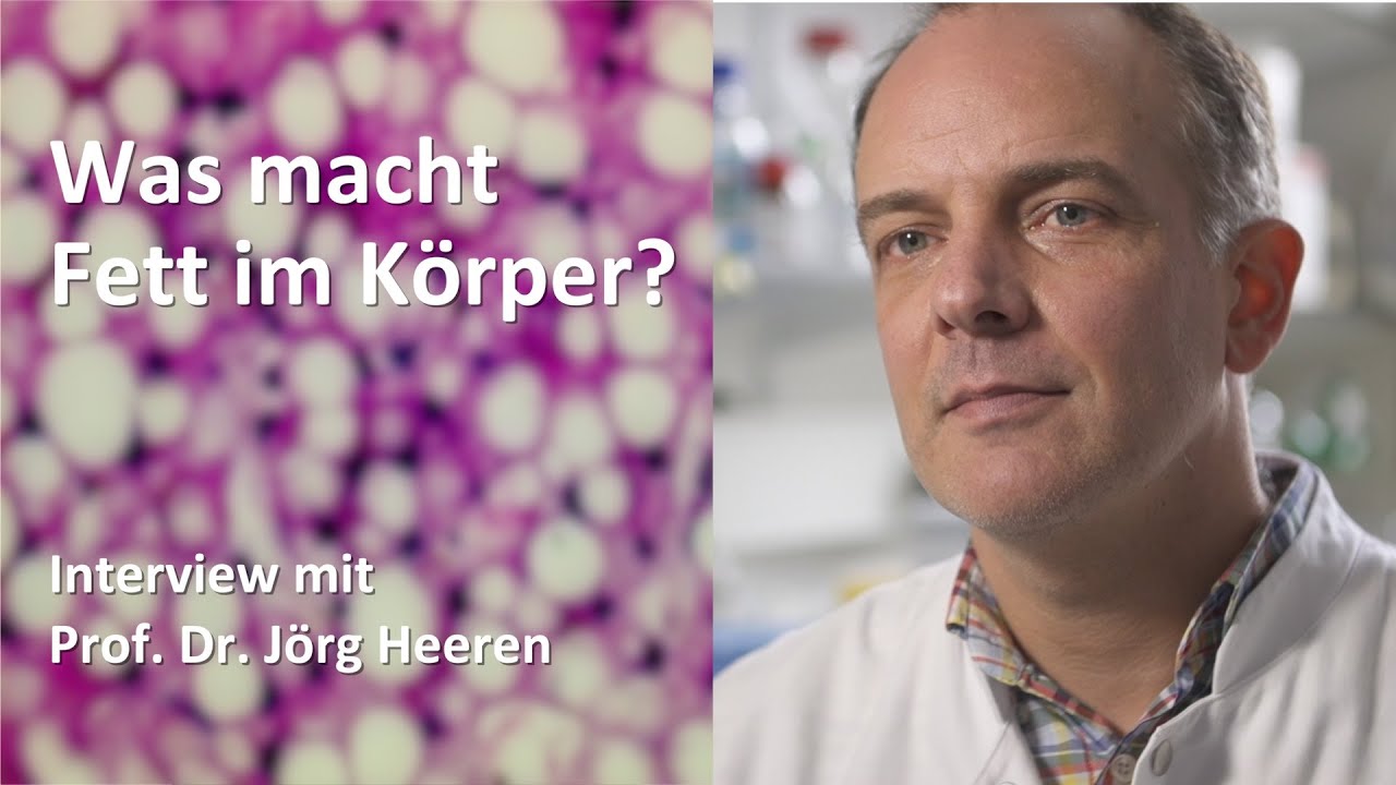 Fett in der Leber - Prof. Jörg Heeren über Lipidforschung