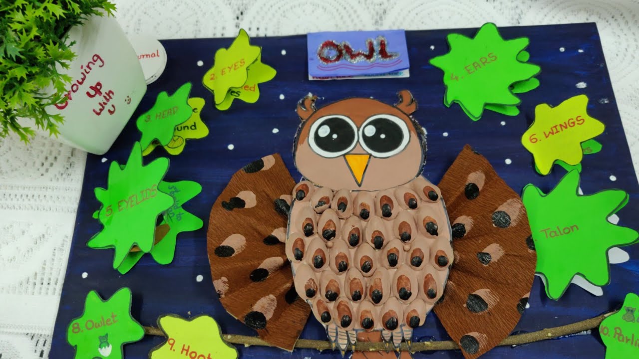 OWL project