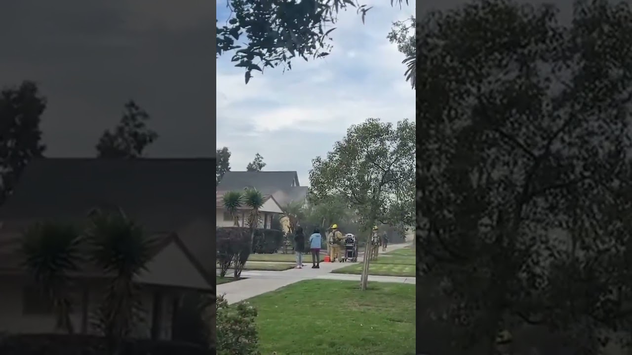 Smoke From Building | Citizen