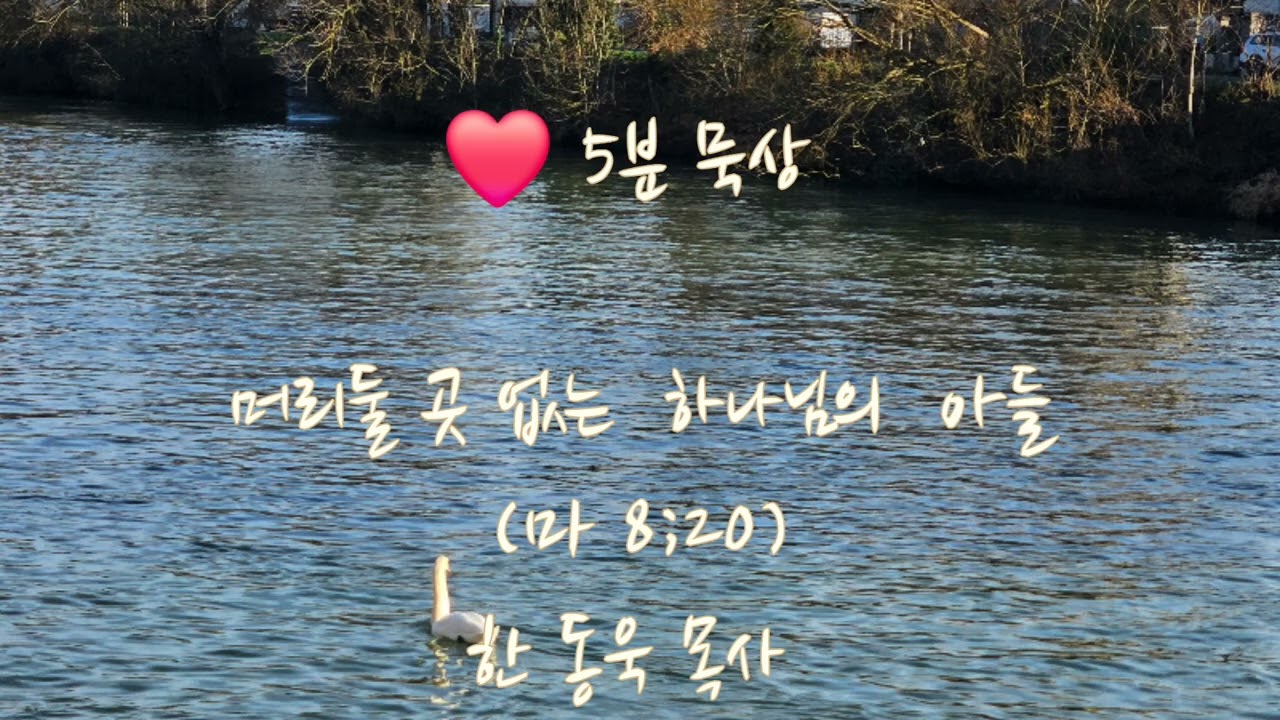 ❤️ 파리에서의 하루(Une journée à Paris)./(Méditation)/□5분 묵상/머리 둘 곳 없는 하나님의 아들(마 8:20)  