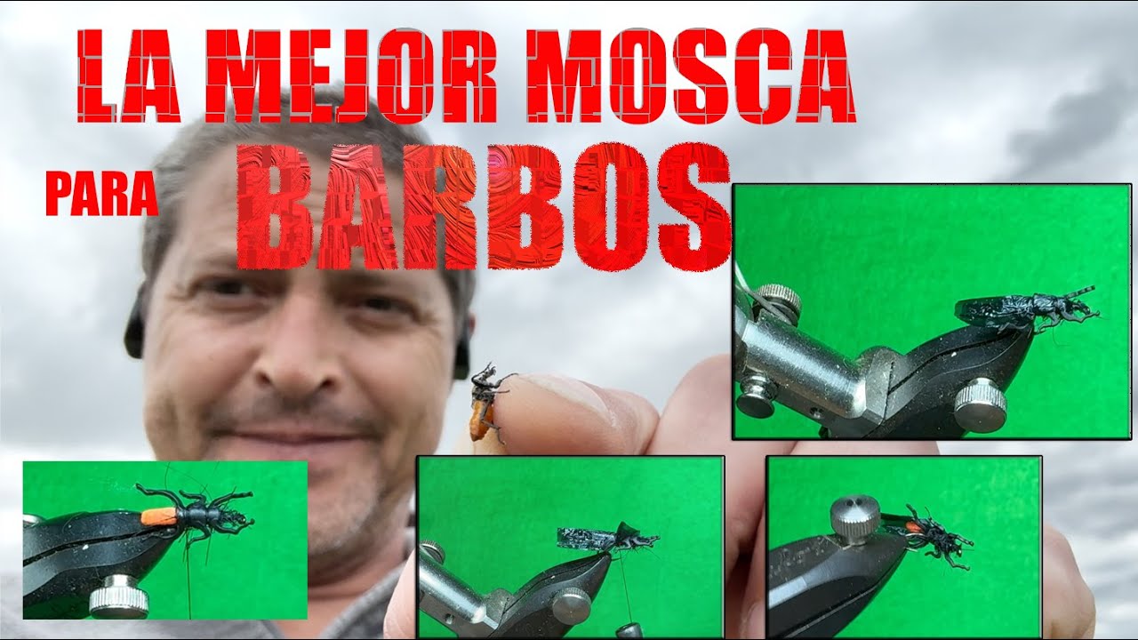 Pesca. Montaje del MEJOR ESCARABAJO para PESCAR BARBOS. #barbo #pesca #flytying #atadodemoscas