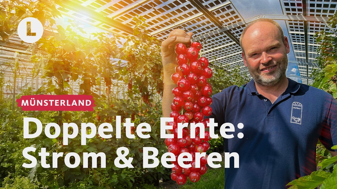 Agri-PV: Lohnt es sich wirklich? | WDR Lokalzeit LandSchafft
