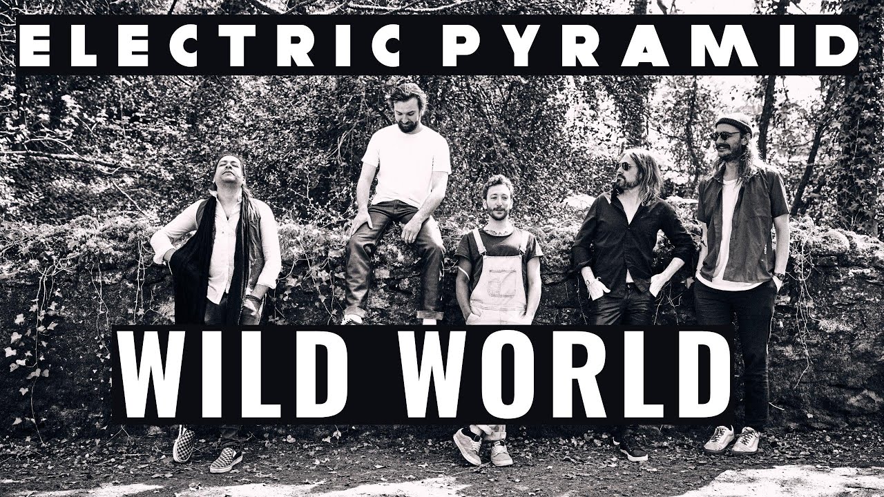 Electric Pyramid - WILD WORLD (Official Promo Video)