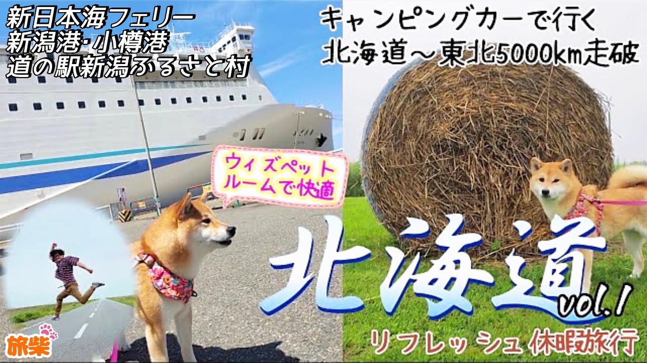 ①北海道～東北5000キロの旅vol.1 新潟〜小樽 新日本海フェリー 新潟港 小樽港 道の駅新潟ふるさと村【キャンピングカーで柴犬とウィズペットルームで行く】