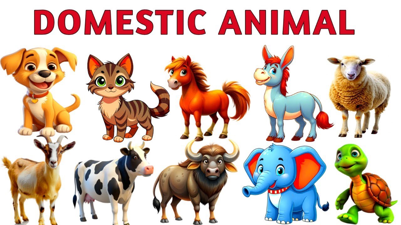 Learn domestic animal name for kids | বিভিন্ন গৃহপালিত প্রানীর নাম বাংলা ও ইংরেজীতে |