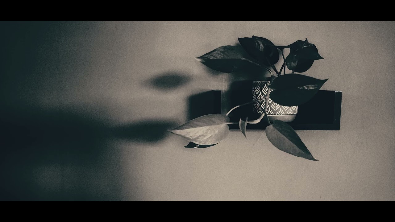 Ólafur Arnalds - and we’ll leave it there… (feat. Ella McRobb)