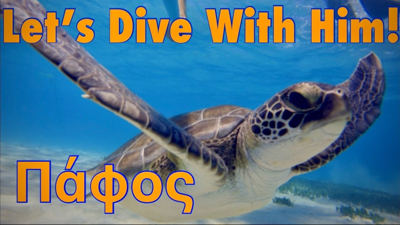 #4K | Jul2021| With Loggerhead Sea Turtles Snorkeling| Paphos| Cyprus|Part 02.