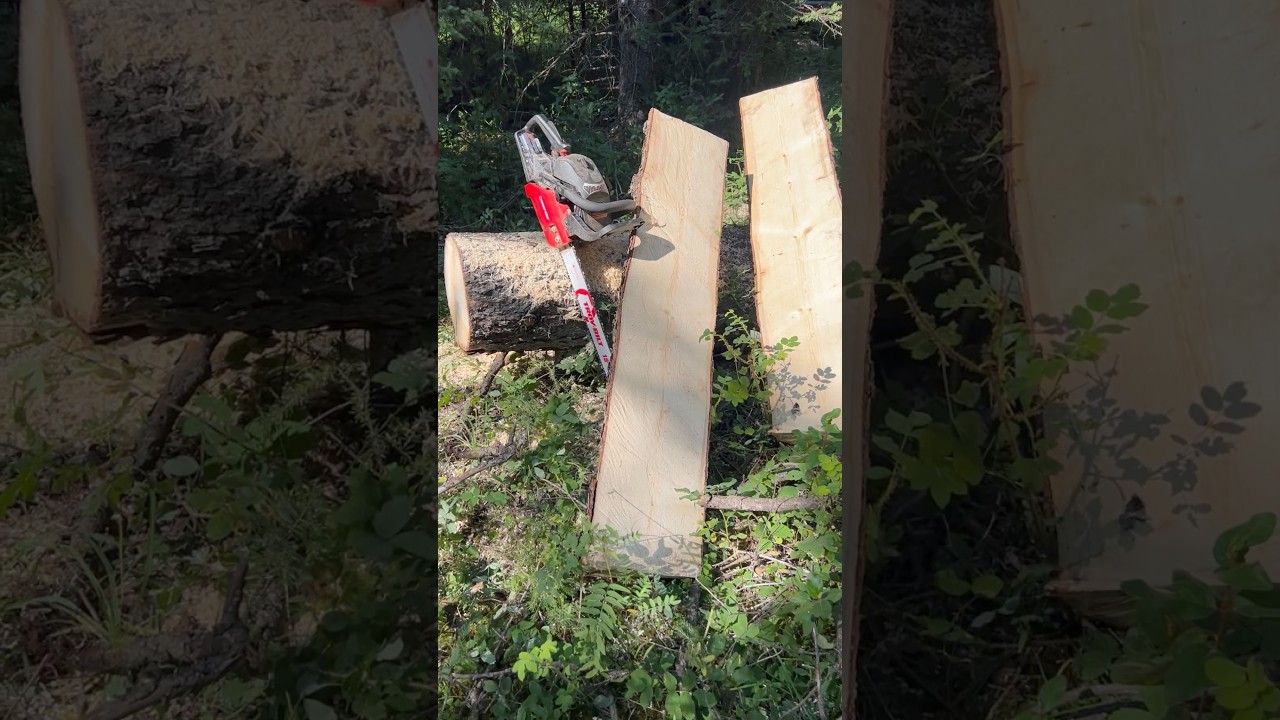 RIPPING BOARDS FREEHAND WITH A CHAINSAW 