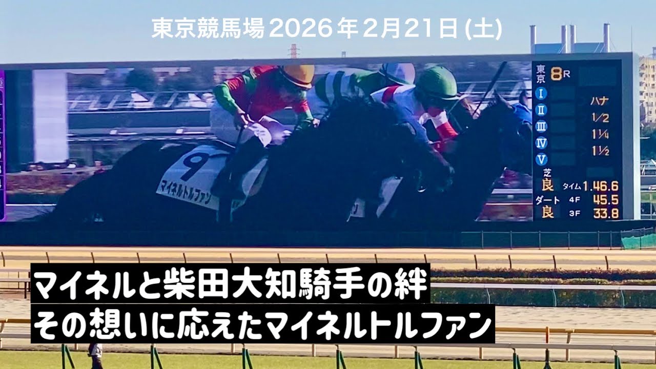 🏇東京8R4歳以上2勝クラス｜＃マイネルトルファン｜2026・2・21