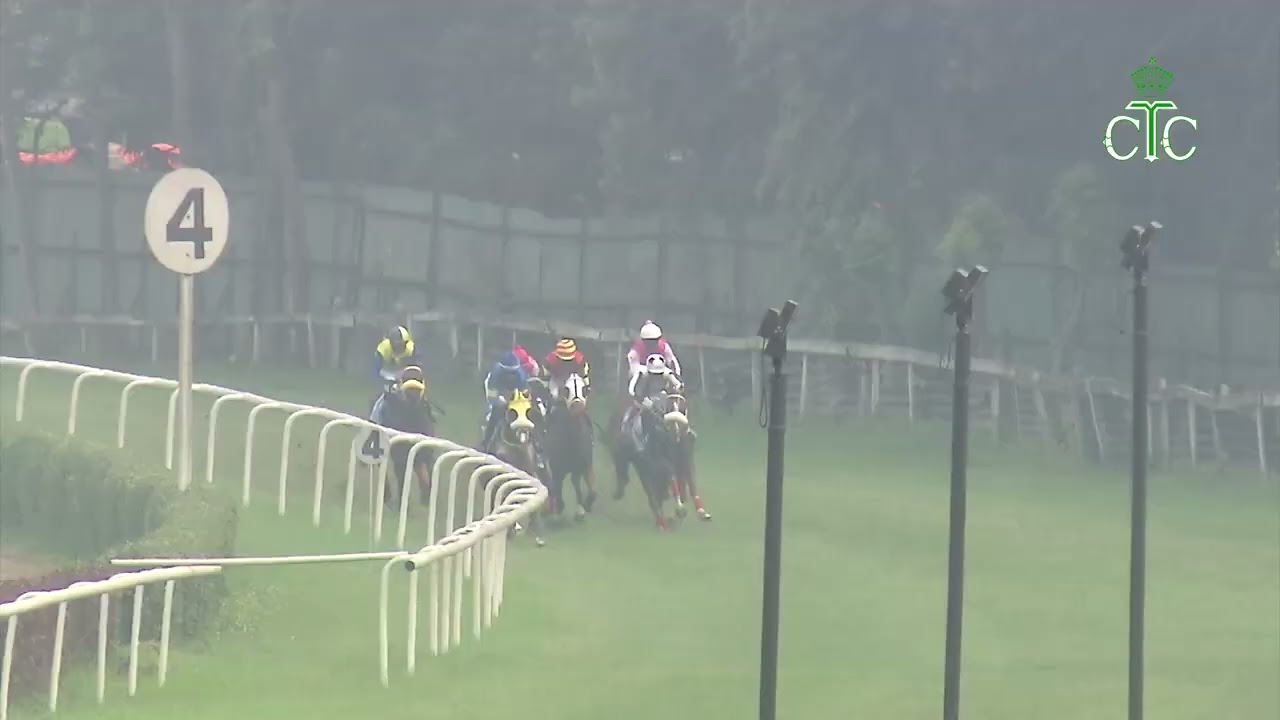 MONEYCATCHER побеждает в скачках Fly Like The Wind Handicap.