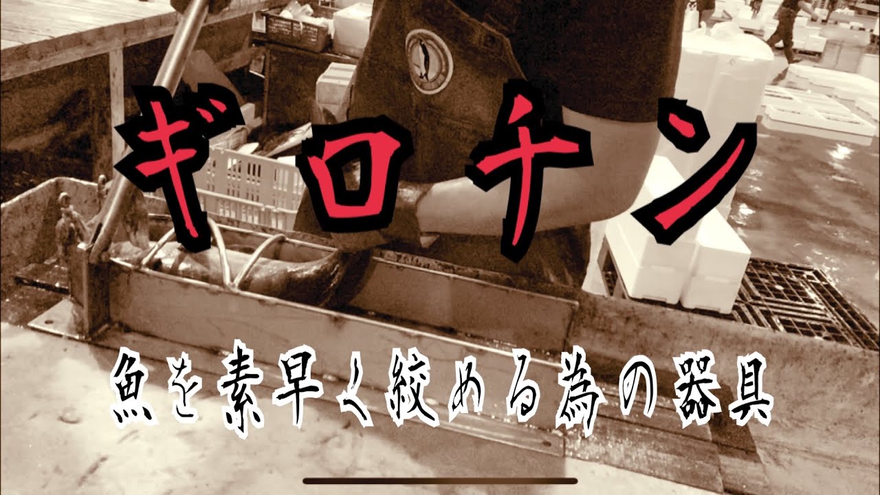 ギロチン【魚を素早く絞める為の器具】編 vol.408