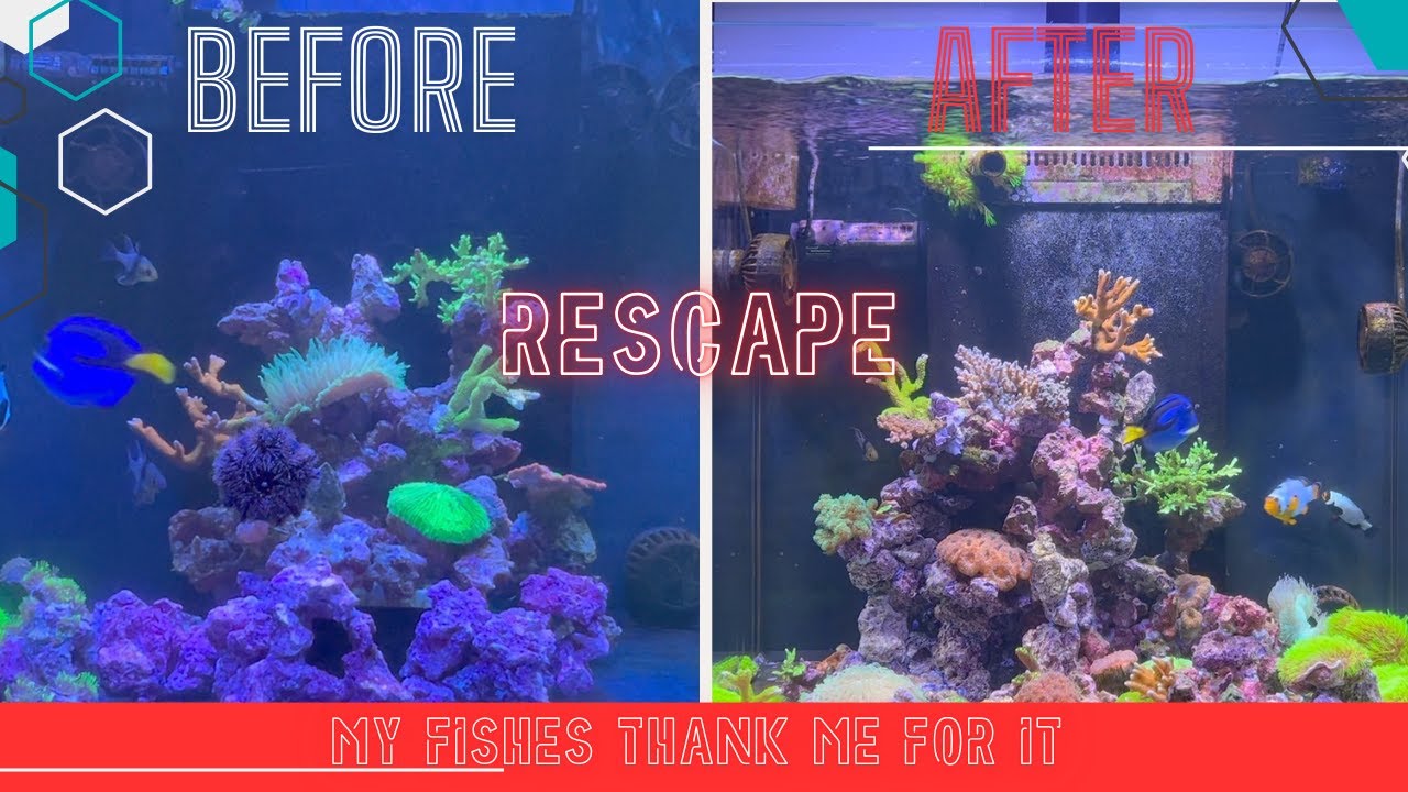 Rescape with Caribsea FragZone to Create More Flow and Reduce Dead Spots