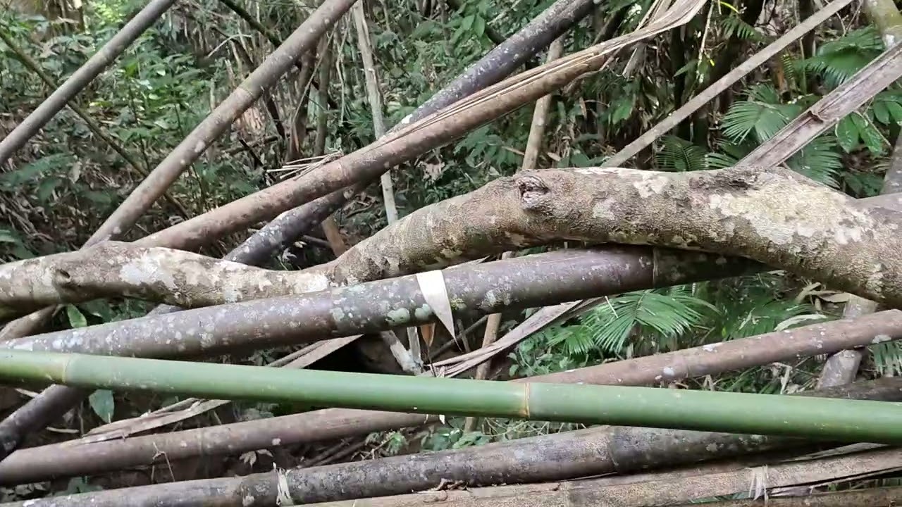 Duimumpang Stream 2. Charinapang Village, Tousem Subdivision, Tamenglong. 