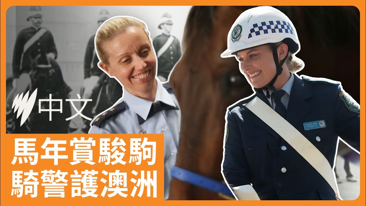 颯爽英姿迎馬年 騎警分享與親密戰友的日常 | SBS中文