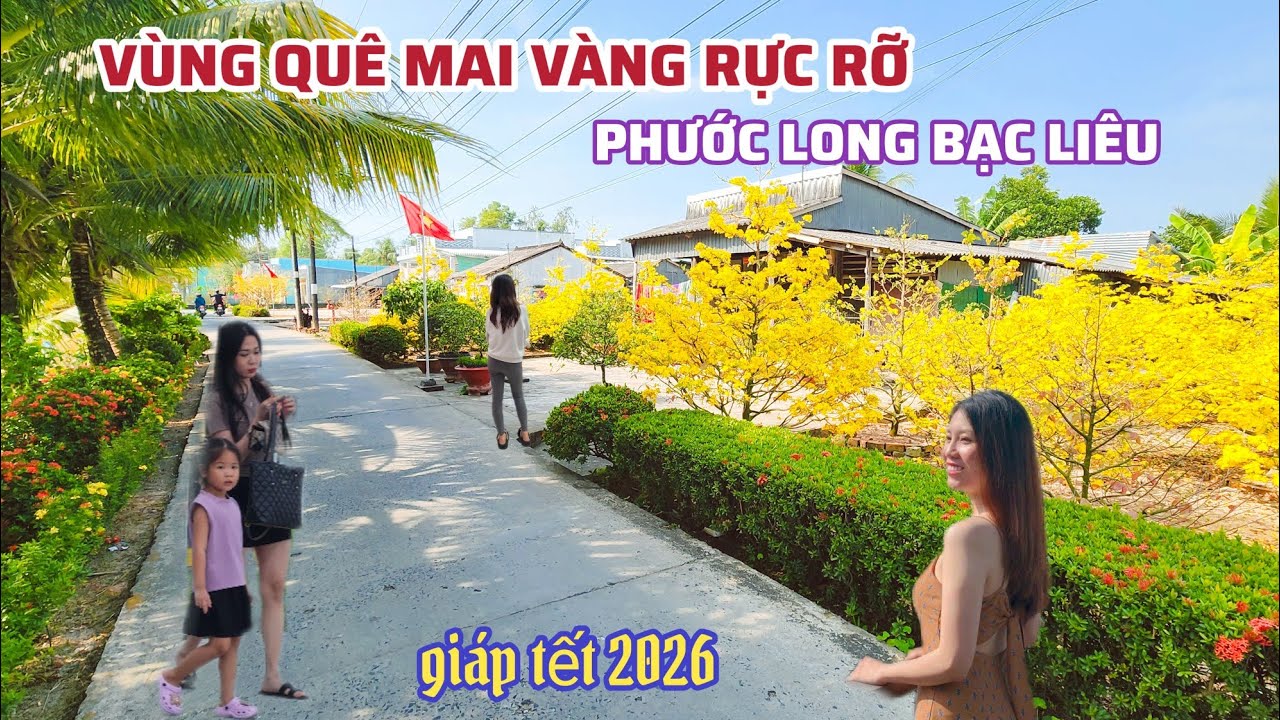 Đường Quê Mai Vàng Hoa Kiểng Đẹp Rực Rỡ, Chợ Truyền Thống Bà Con Mua Sắm Nhộn Nhịp Ngày Tết 2026